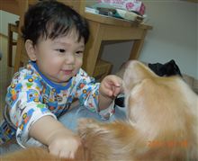 あけましておめでとうございます。いまさらながらですが。 あけましておめでとうございます。いまさらながらですが。