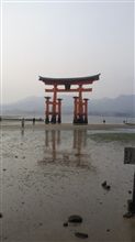 広島 広島