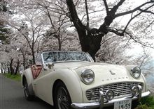 不都合な真実、隠蔽体質 不都合な真実、隠蔽体質