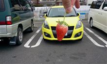 石垣イチゴ狩りの旅 石垣イチゴ狩りの旅