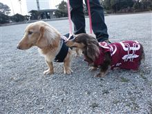少し寒いプチオフ(^^ 少し寒いプチオフ(^^
