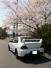 EVOからボクサーサウンド!? EVOからボクサーサウンド!?