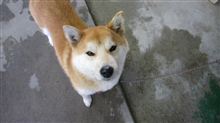 昨日 昨日