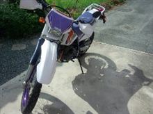 納車! 納車!
