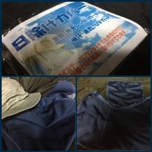 太陽 太陽
