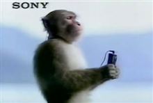 walk しない WALKMAN walk しない WALKMAN