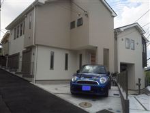 生存連絡 生存連絡
