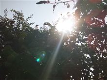 8/18 今朝も朝からあぢぃ~ってなってる土曜日~ε=(´0`;)フゥーゥ!! 8/18 今朝も朝からあぢぃ~ってなってる土曜日~ε=(´0`;)フゥーゥ!!