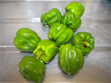 辛味噌 辛味噌