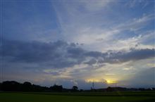雨上がり。 雨上がり。
