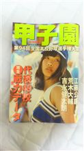 高校野球 高校野球