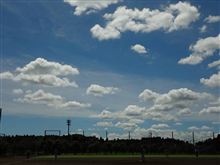夏らしい空だね~! 夏らしい空だね~!