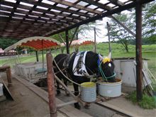 小岩井農場 小岩井農場