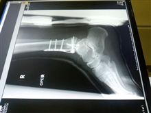 暇・暇・暇・暇 暇・暇・暇・暇