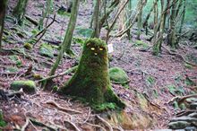 屋久島修行の旅 屋久島修行の旅