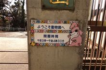動物園へ癒しを求めて 動物園へ癒しを求めて
