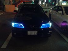 久しぶりに悪戯 久しぶりに悪戯