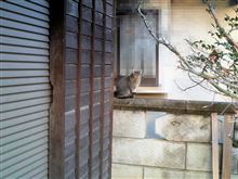 【ちょっと言って】 いい、加減 【みたかっただけ】 【ちょっと言って】 いい、加減 【みたかっただけ】