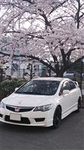 桜のキレイな季節です 桜のキレイな季節です