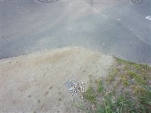 何故そこに捨てる!?だから駄目だと言われる事に気付けよ。 何故そこに捨てる!?だから駄目だと言われる事に気付けよ。