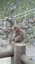 別府旅行 別府旅行
