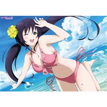 とりあえず、近況報告。 とりあえず、近況報告。