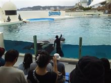 ちょっとドライブ ちょっとドライブ