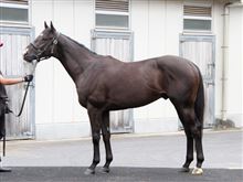 エールブリーズ第12戦、六社特別in東京競馬場 エールブリーズ第12戦、六社特別in東京競馬場