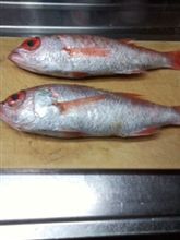 のどぐろ のどぐろ