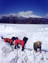 4WDで良かったです、、、m(_ _)m 4WDで良かったです、、、m(_ _)m