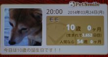 癒し続けて、3,652日! 癒し続けて、3,652日!