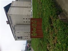 大変ご無沙汰しております 大変ご無沙汰しております