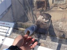 こんな感じになるかもね こんな感じになるかもね