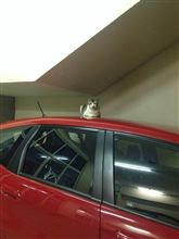 こらこらやで。 こらこらやで。