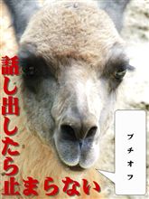 土日プチオフ2連 土日プチオフ2連