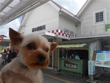 ふたたび道の駅へ ふたたび道の駅へ