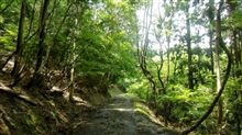 四国山地 東西遠征 PART.1 四国山地 東西遠征 PART.1