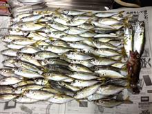 魚群 魚群