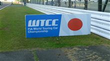 生存報告とWTCC 生存報告とWTCC