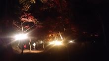 ナイトドライブ ナイトドライブ