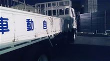 免許取りました! 免許取りました!