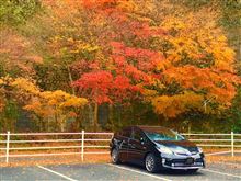 紅葉狩り🍁 紅葉狩り🍁