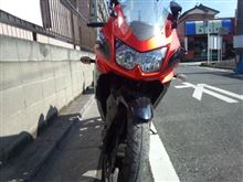 遂に、忍(shinobi)を捕えた!! 遂に、忍(shinobi)を捕えた!!