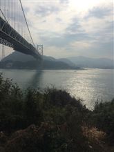 一年ぶりの再会 一年ぶりの再会
