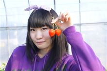 いちご狩りからの~シャミセニスト!? いちご狩りからの~シャミセニスト!?