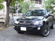 約1年ぶりに… 約1年ぶりに…