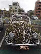 動かない車? 動かない車?