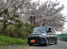 桜のしたで 桜のしたで