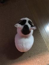 皆さんへ2 皆さんへ2
