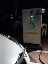 リーフちゃんで大冒険 リーフちゃんで大冒険